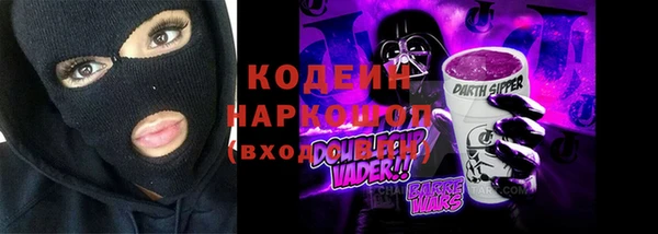 индика Богданович