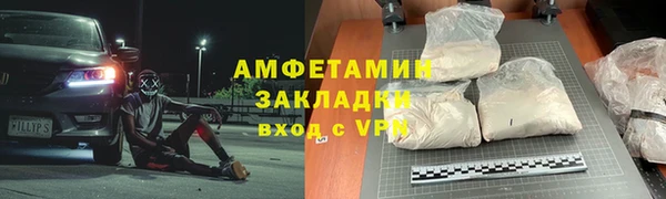 индика Богданович