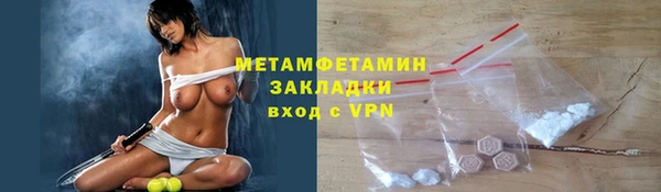 индика Богданович