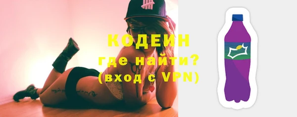 индика Богданович