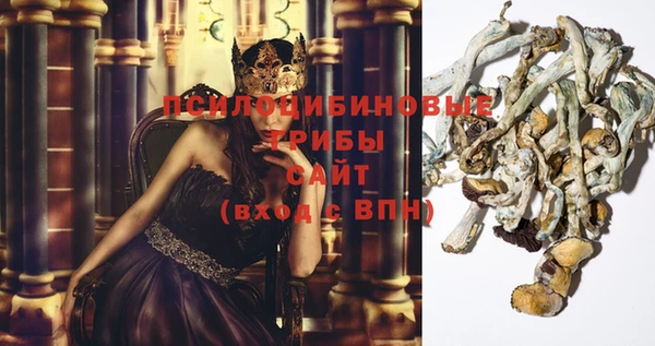 индика Богданович
