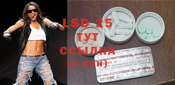 индика Богданович