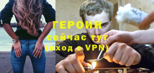 индика Богданович