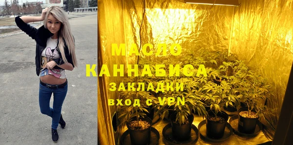 индика Богданович