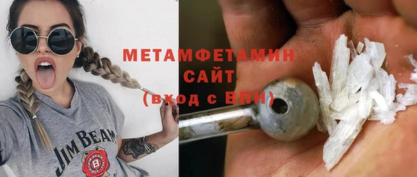 индика Богданович