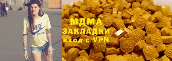 индика Богданович